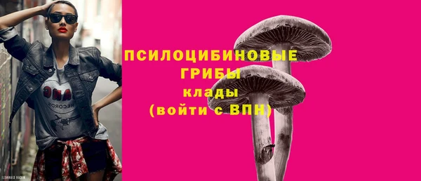 дживик Белоозёрский