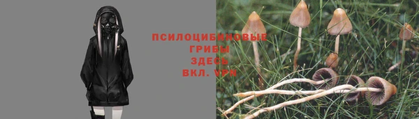 дживик Белоозёрский