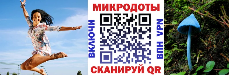 KRAKEN онион  Вяземский  Галлюциногенные грибы Psilocybe 